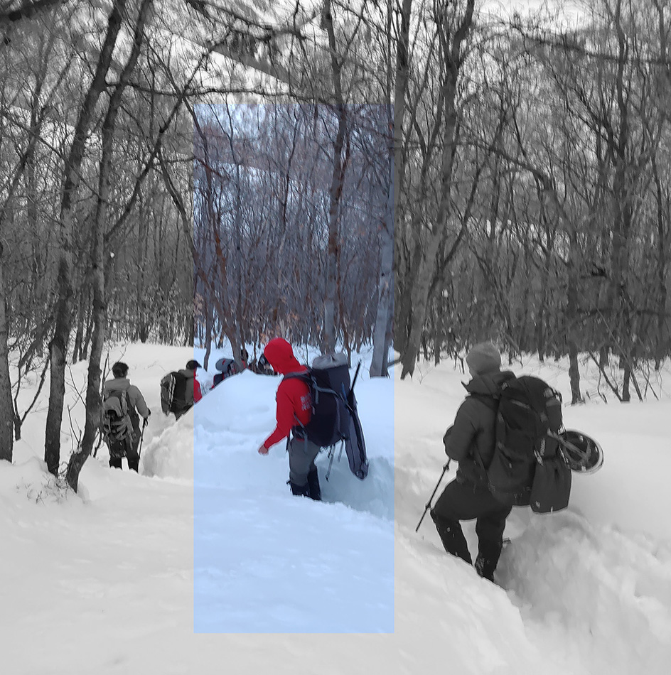 SAR team conducting an organized search operation